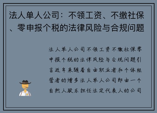 法人单人公司：不领工资、不缴社保、零申报个税的法律风险与合规问题